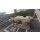 Schwingsieb ME 800x2000 G gebraucht B16092