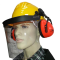 Construction helmet with face and hearing protection in various colours. Colours