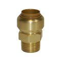 Tectite Plug Fitting Transition Nipple 22mm x 3/4"