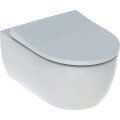 Exclusive-WC-Set inkl. Vorwandelement, Wand-Tiefsp&uuml;l-WC und Zubeh&ouml;r